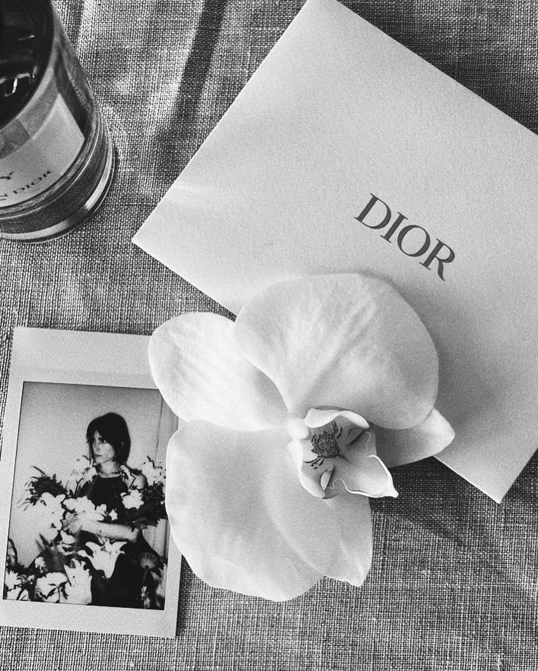 dior2